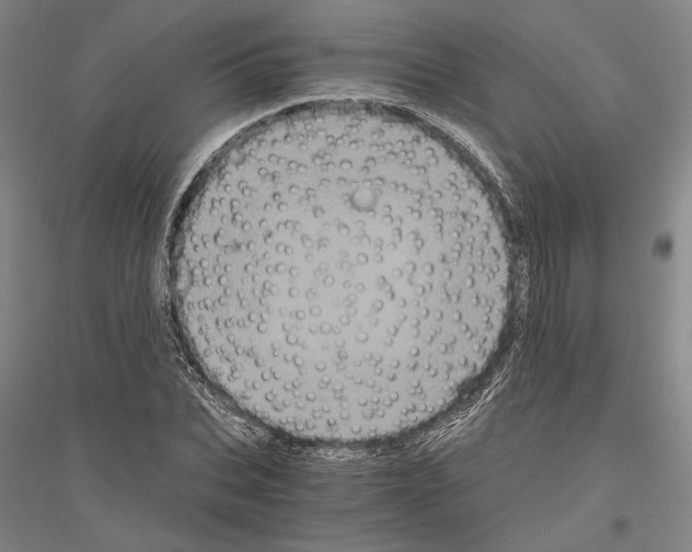 X0000116800927201001291537