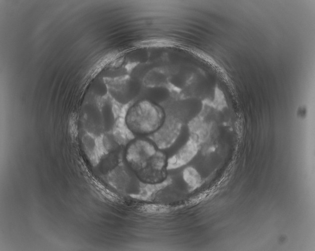 X0000116800929201001291537