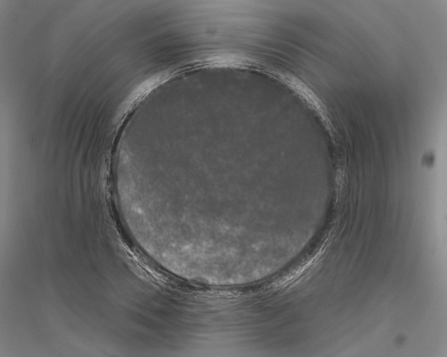 X0000116800930201001291537