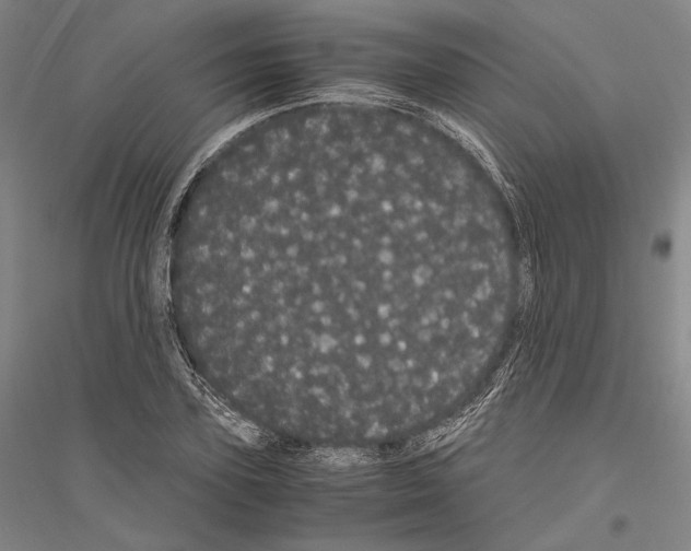 X0000116800931201001291537
