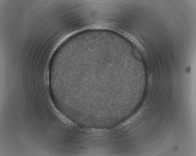 X0000116800934201001291537