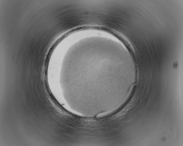 X0000116800935201001291537