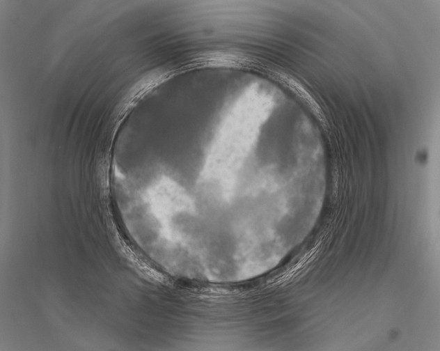 X0000116800938201001291537