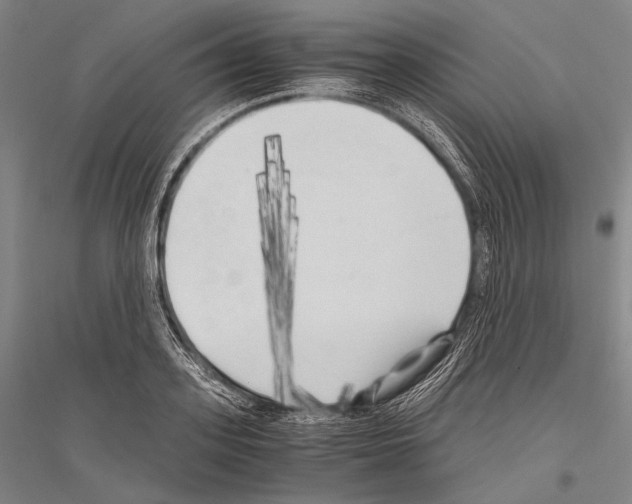 X0000116800939201001291537
