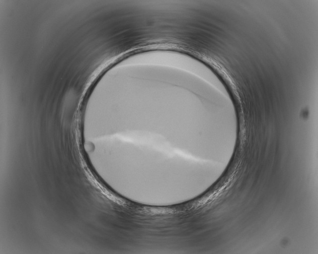 X0000116800941201001291537