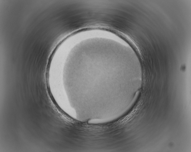 X0000116800943201001291537