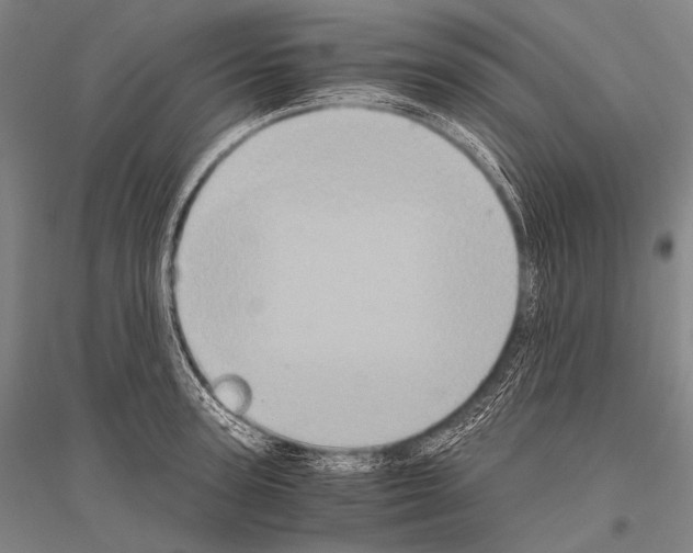X0000116800947201001291537