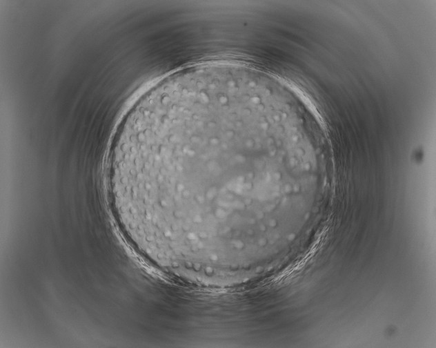 X0000116800949201001291537