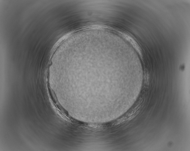 X0000116800954201001291537