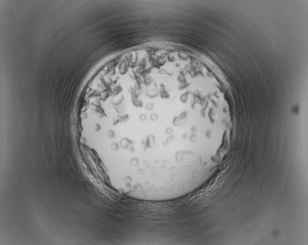 X0000116800955201001291537
