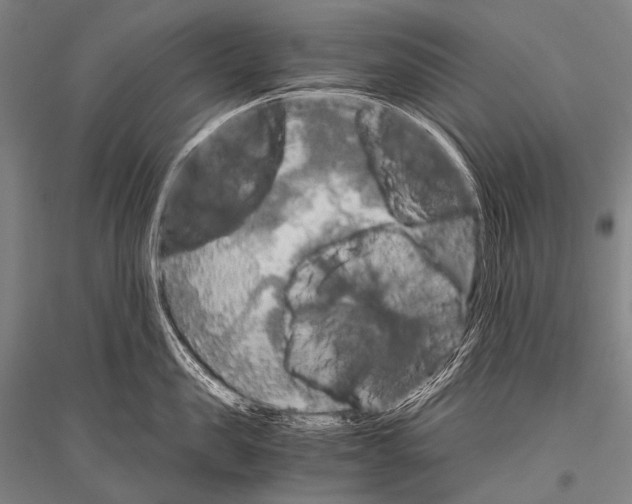 X0000116800957201001291537