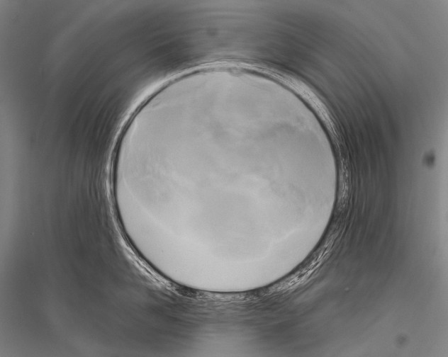 X0000116800958201001291537