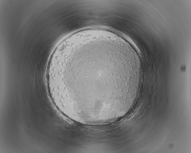 X0000116800959201001291537