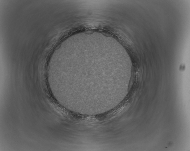 X0000116800961201001291537