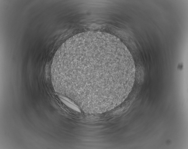 X0000116800962201001291536