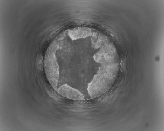 X0000116800963201001291536