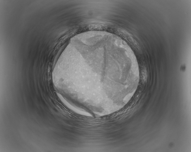 X0000116800964201001291536