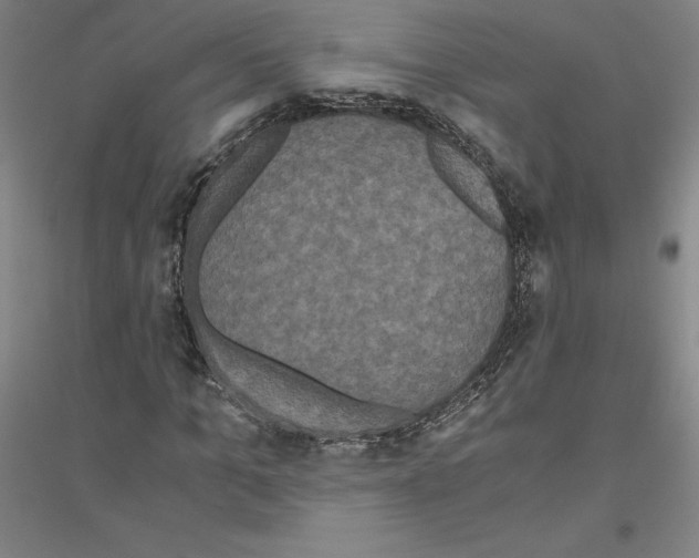 X0000116800965201001291536