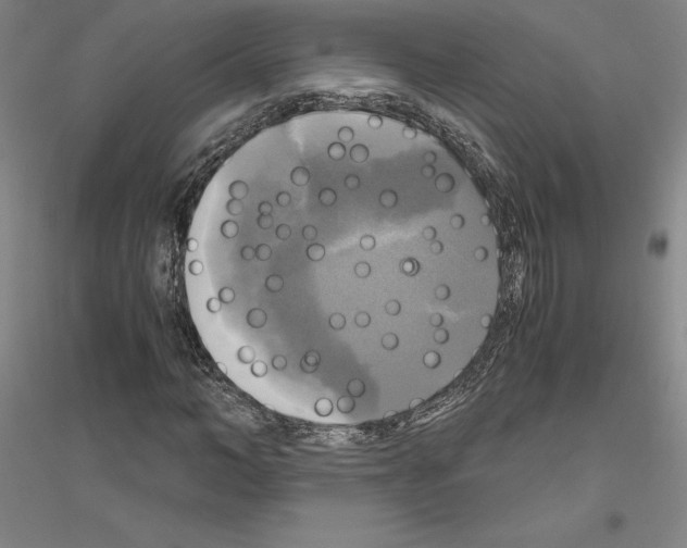 X0000116800966201001291536