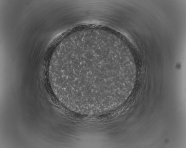 X0000116800967201001291536