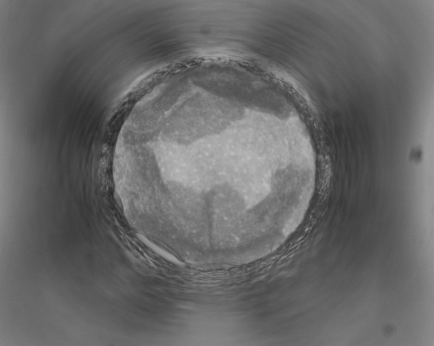 X0000116800968201001291536