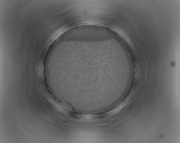 X0000116800969201001291536