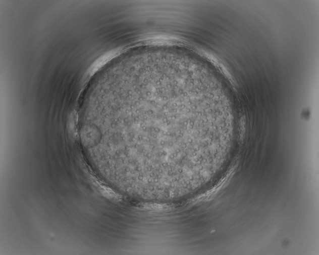 X0000116800970201001291536