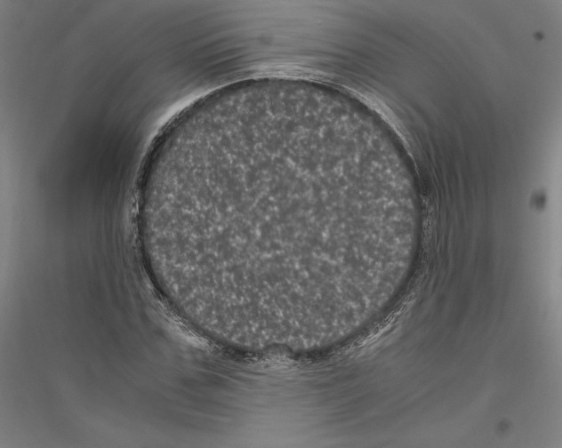 X0000116800971201001291536