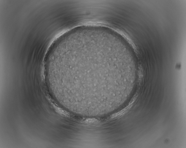 X0000116800974201001291536