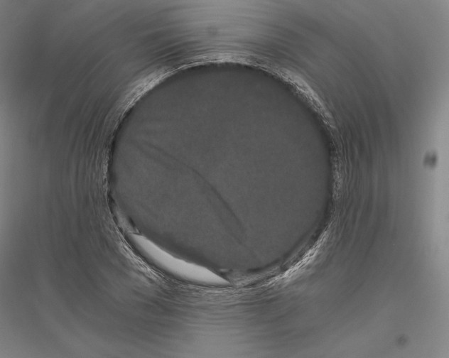 X0000116800977201001291536