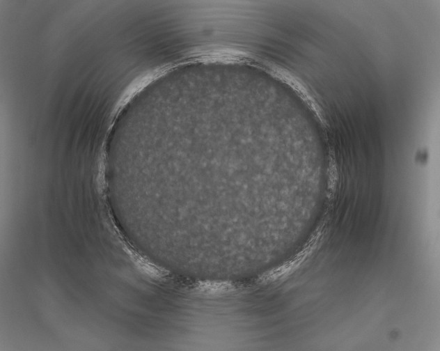 X0000116800978201001291536