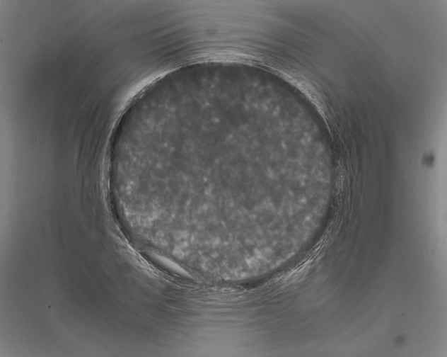 X0000116800979201001291536
