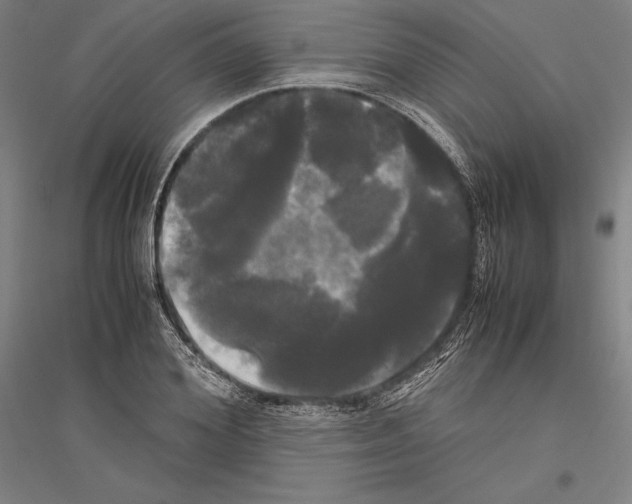 X0000116800980201001291536