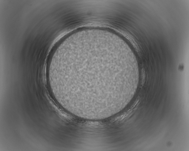 X0000116800982201001291536