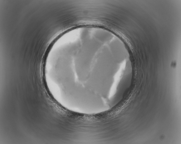 X0000116800983201001291536