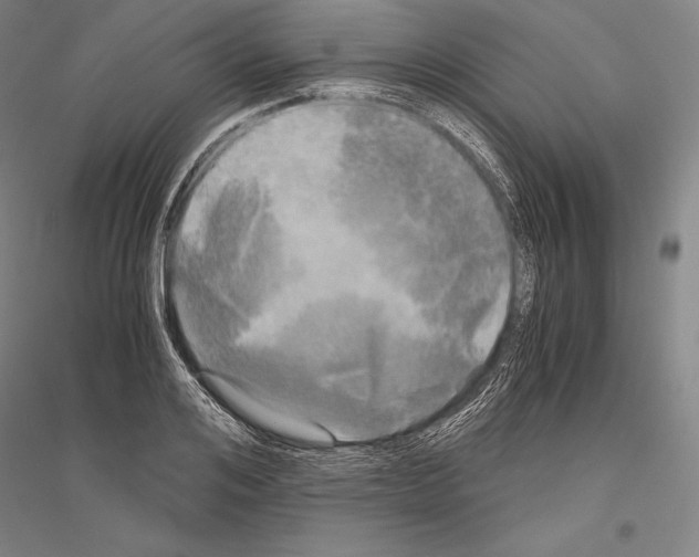 X0000116800984201001291536