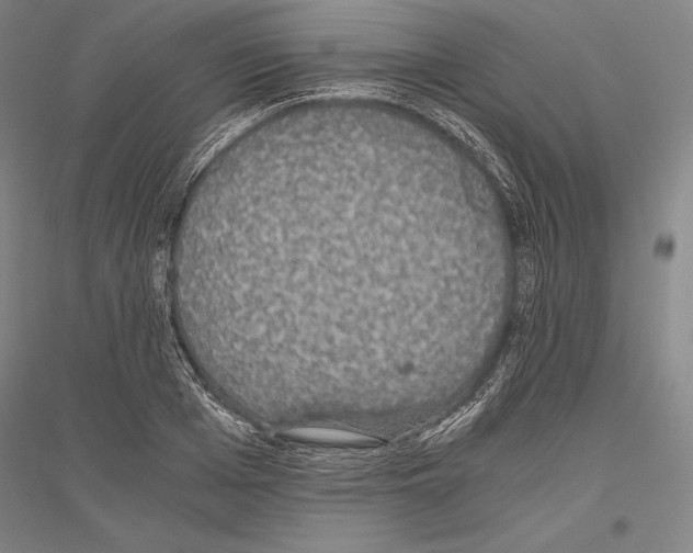 X0000116800985201001291536