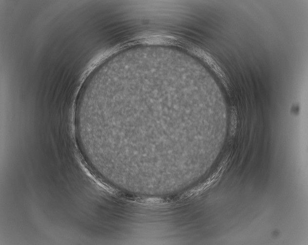 X0000116800986201001291536