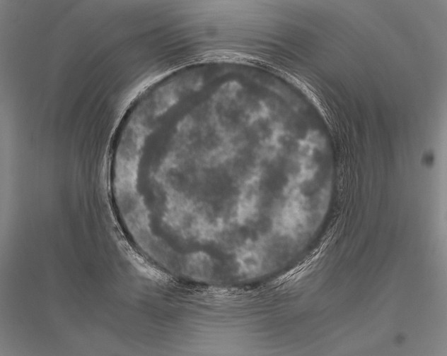 X0000116800987201001291536