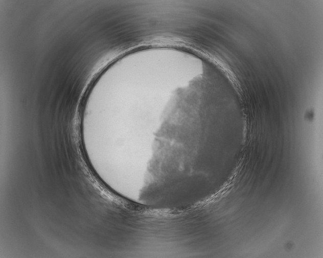 X0000116800990201001291536