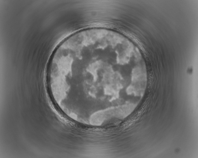 X0000116800991201001291536