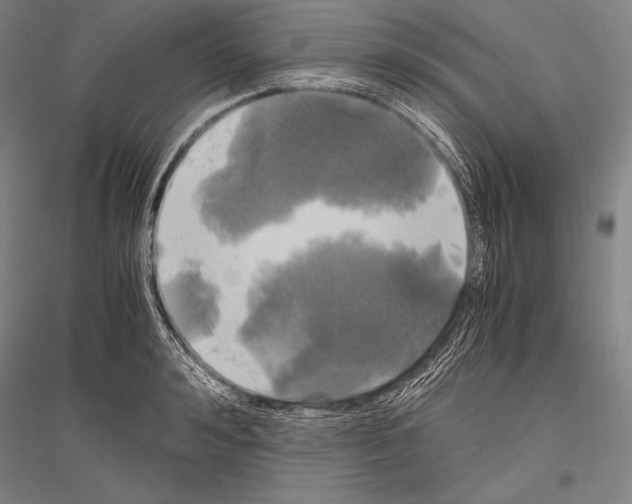 X0000116800992201001291536
