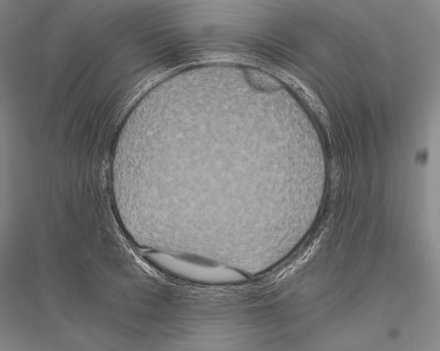 X0000116800993201001291536