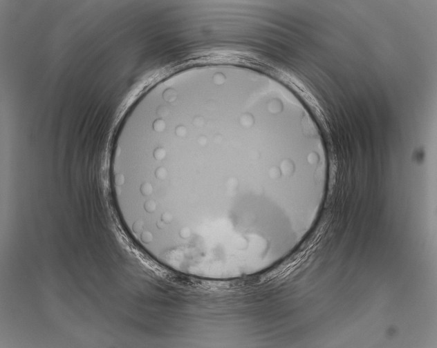 X0000116800994201001291536