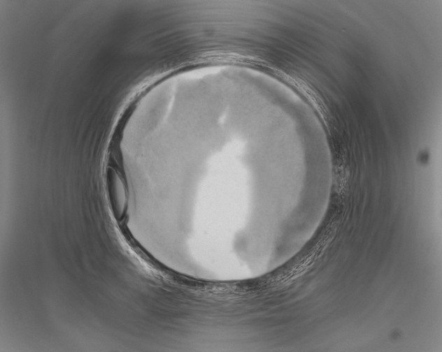 X0000116800995201001291536