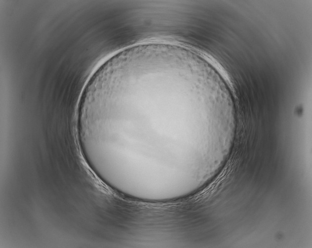 X0000116800996201001291536