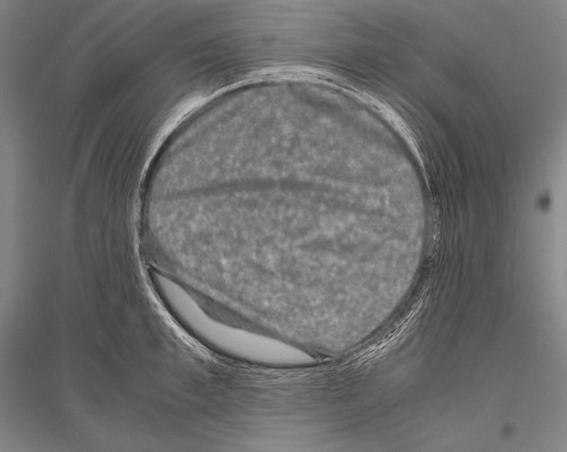 X0000116800997201001291536