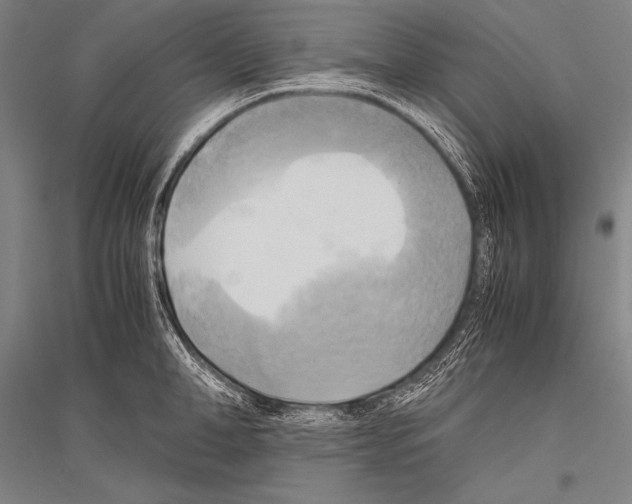 X0000116800998201001291536