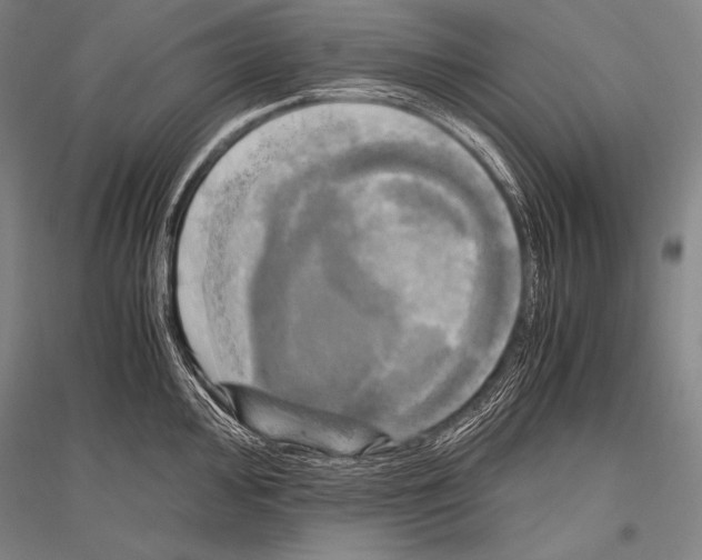 X0000116801000201001291536
