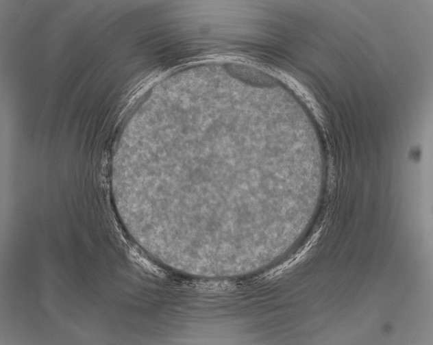X0000116801001201001291536